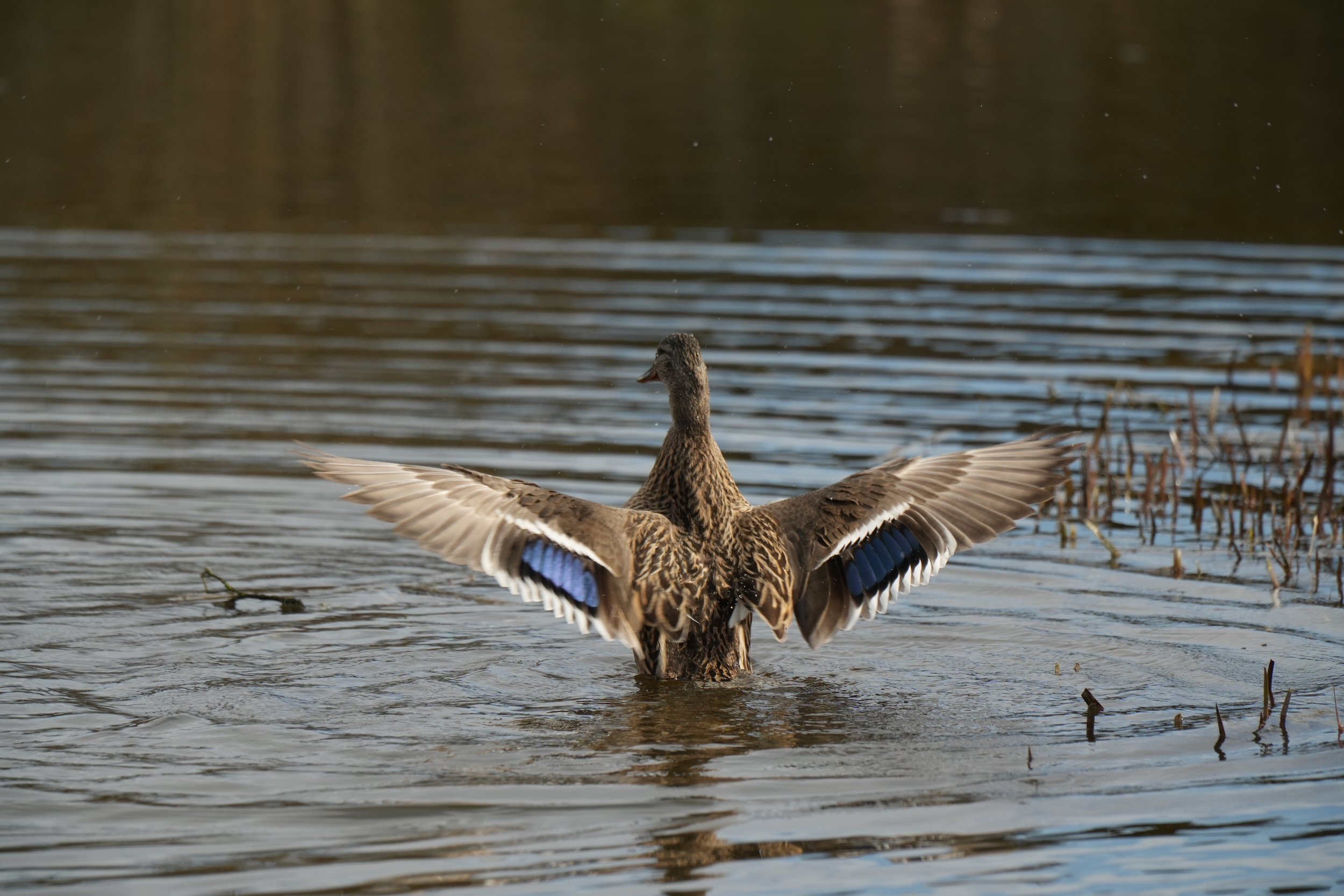 Mastering the First Impression: Your intriguing post title goes here IMG 0304 1